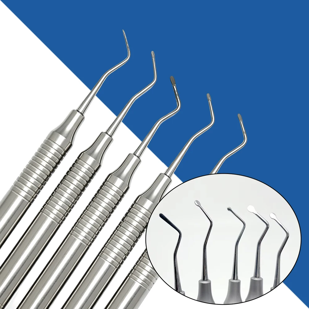 5Pcs Dental Gingival Cord Packers Stainless Steel Serrated Tips Gingival Retraction Cord Placement Tissue Separation Tools