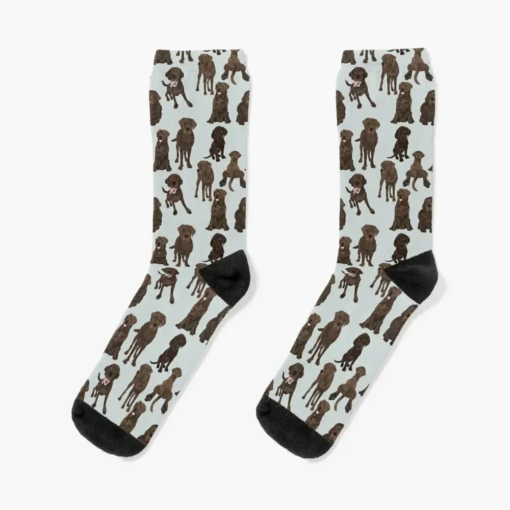 Chocolate Labrador Socks snow set Socks Women's Men's