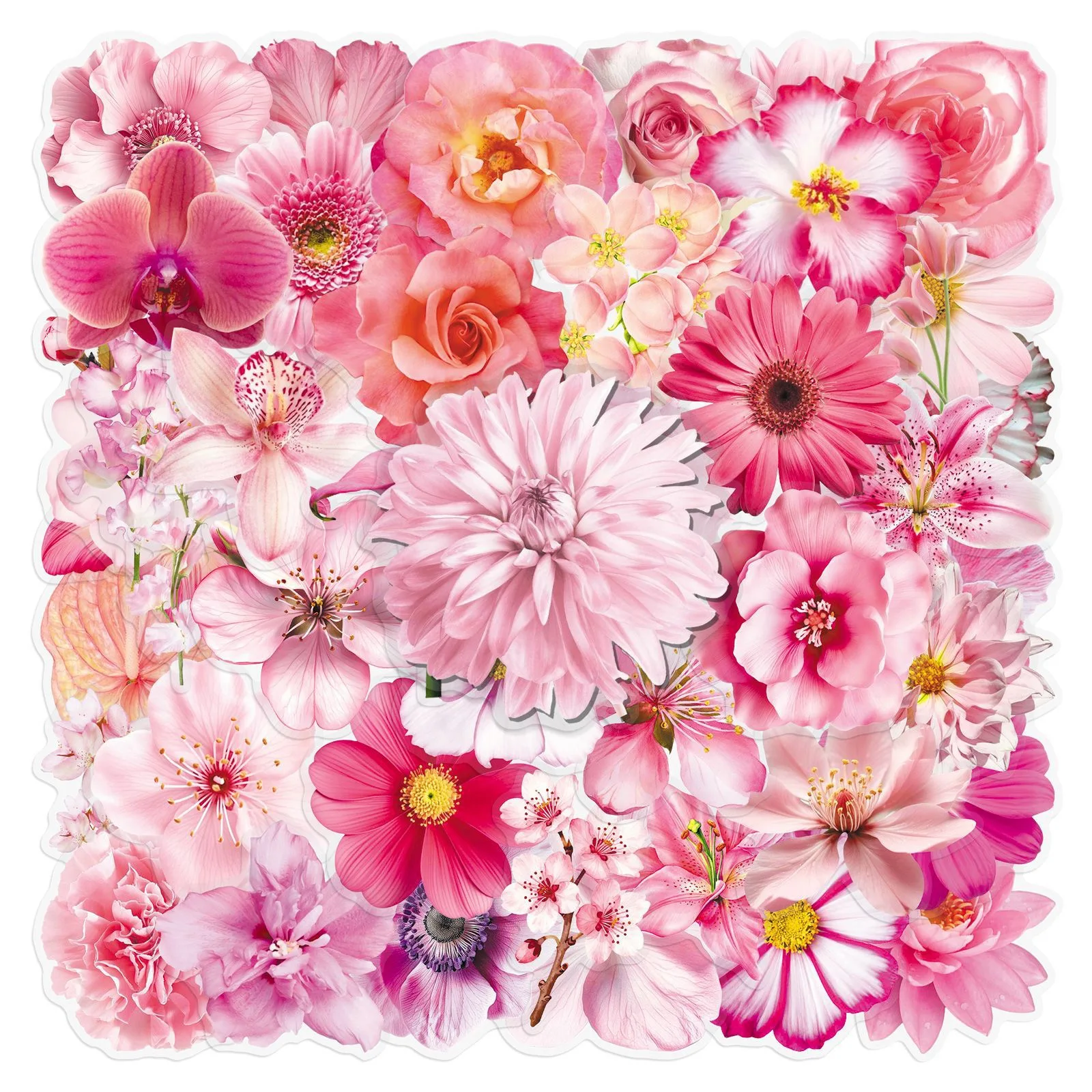 50 Stück Transparente Rosa Blumen-Graffiti-Aufkleber Wasserfeste Aufkleber Kreative DIY Handyhülle Schreibtisch Scrapbook Tagebuch Gitarre
