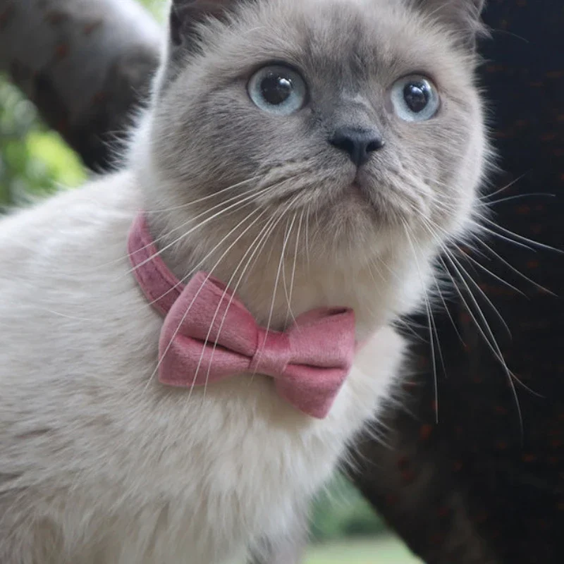 for Velvet Cat Collar Solid Color Bowknot Puppy Chihuahua Collars with Bell Adjustable Safety Buckle Cats Tie Pets Accessories
