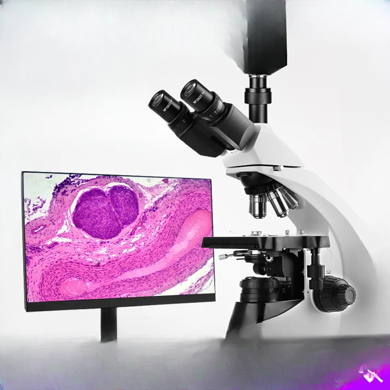 Professional-grade optical biological microscopes MSD701X enterprise laboratories, special infinity differential interferometry,