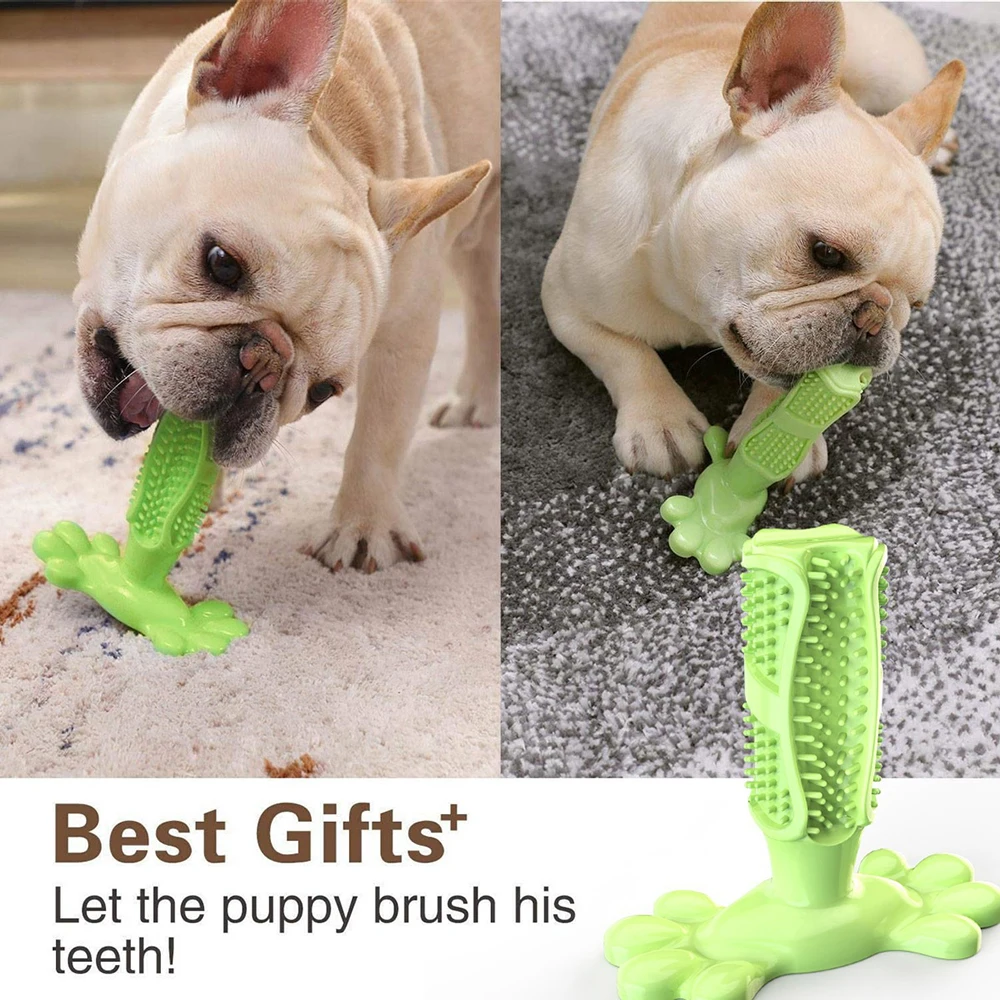 Pet Dog Cactus Interactive Rubber Chew Toys For Small Large Dogs Tooth Cleaning Toothbrush For medium Large Dogs Treat Dispenser