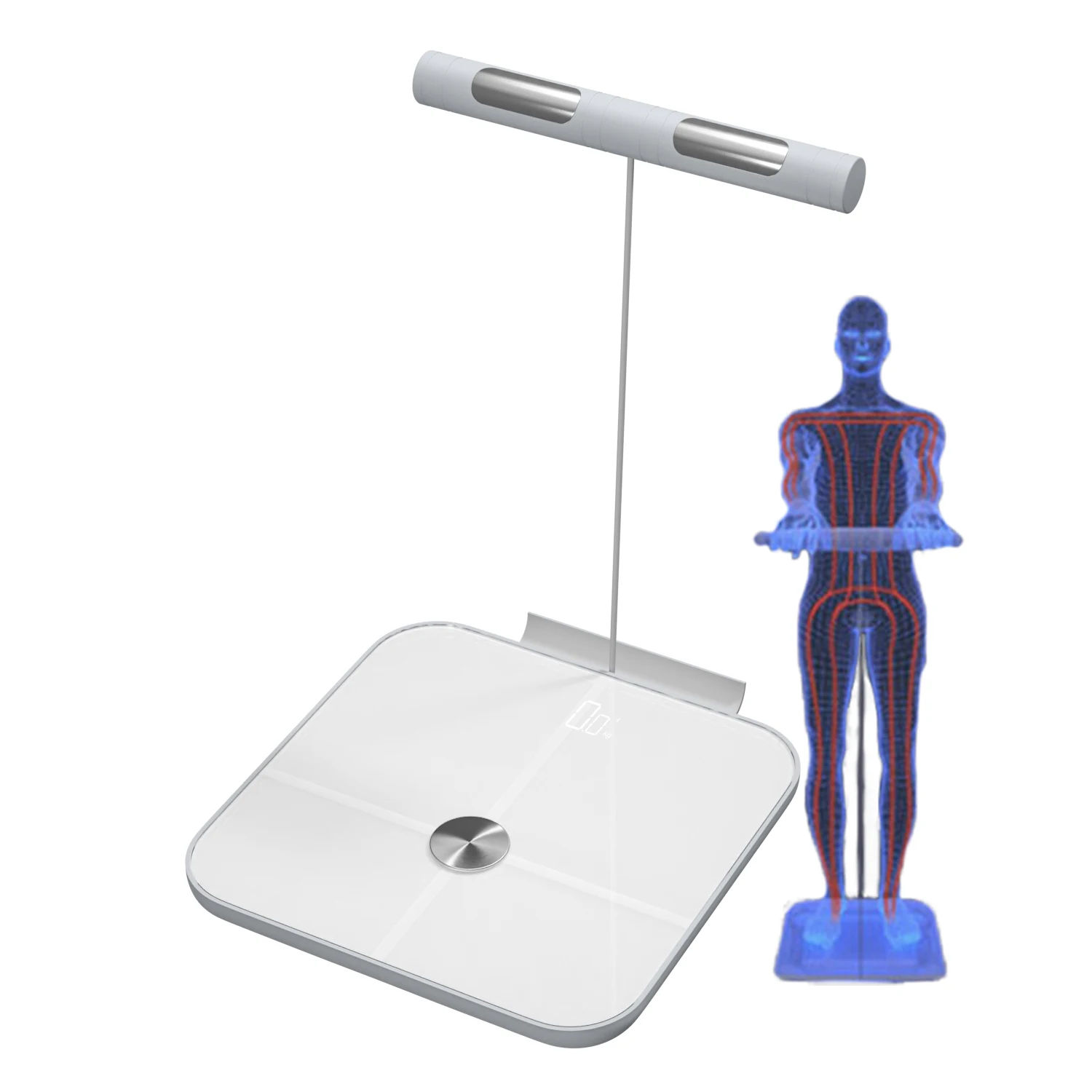 

8 electrodes smart full body 3D weight fat analysis weighing scale