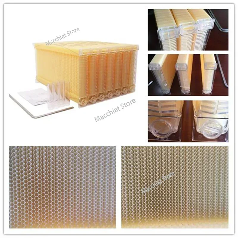 Self-flowing Beehive Frame Automatic Extraction Box Seven Pieces Full Set of Honey Spleen Does Not Include Frame Beehive