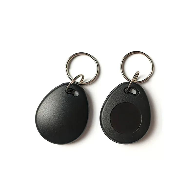 Imagem -04 - Regraváveis e Graváveis Key Fobs Tag Rfid Duplicate id Tag Proximity id Token Keyfobs 125khz 10 Pcs T5577