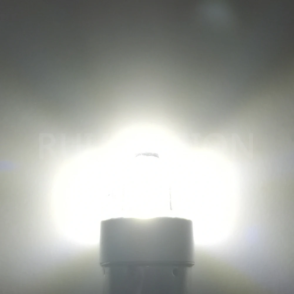 Ruiandsion E10 LED Bulb  3030 2SMD Chips White 3V 4.5V 6V 9V 12V 24V 110V 220V Non Polarity Camping Hiking Caving Lights  200LM - view 4