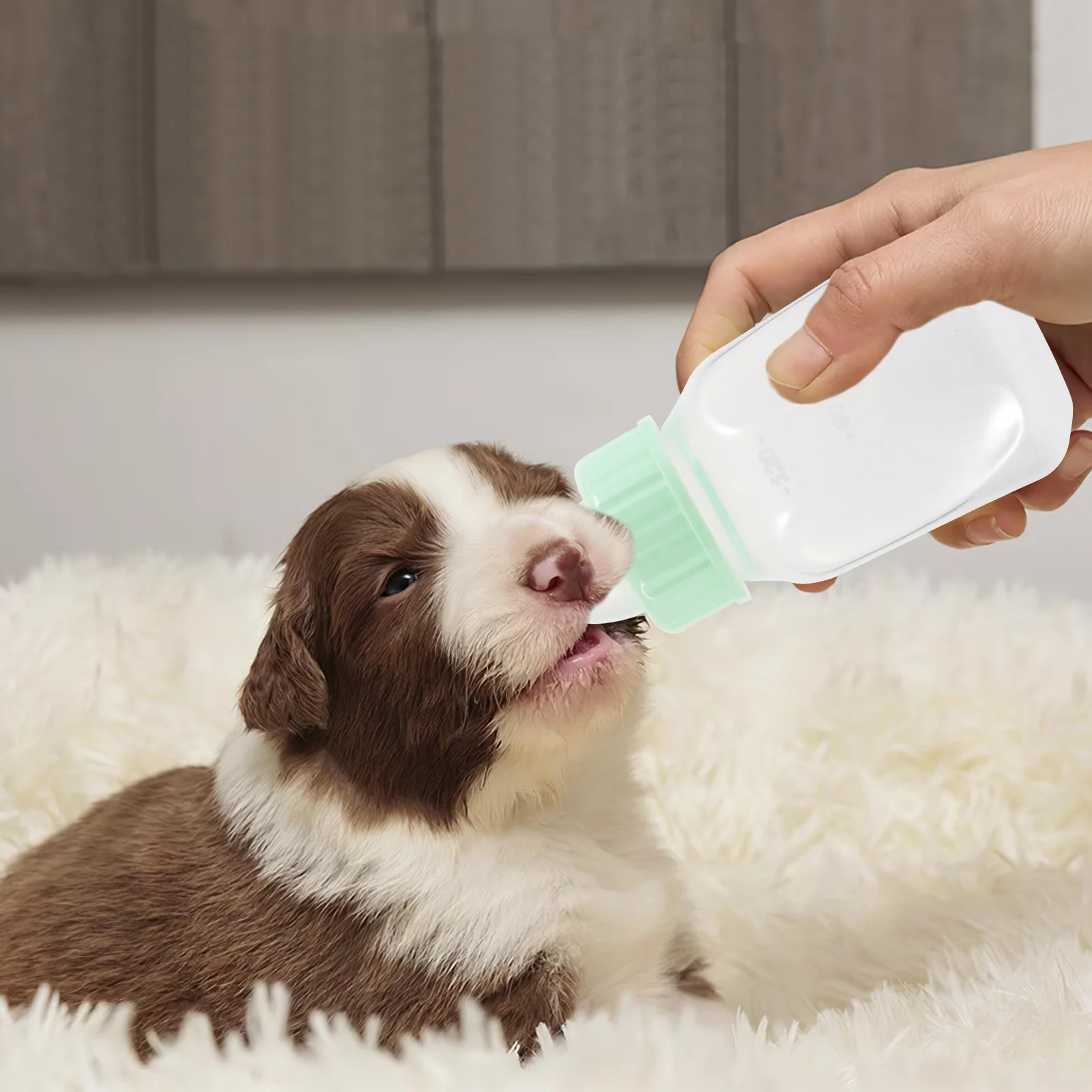 

1Set Pet Nursing Bottle Small Durable Milk Feeding Kit Portable Puppy Kitten Bottle for Pets Puppy Bottles for Nursing