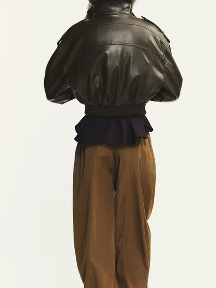 유럽과 미국 스타일의 가을 신상 여성 의류 다용도 인조 가죽 스탠드 칼라 긴팔 숏 재킷