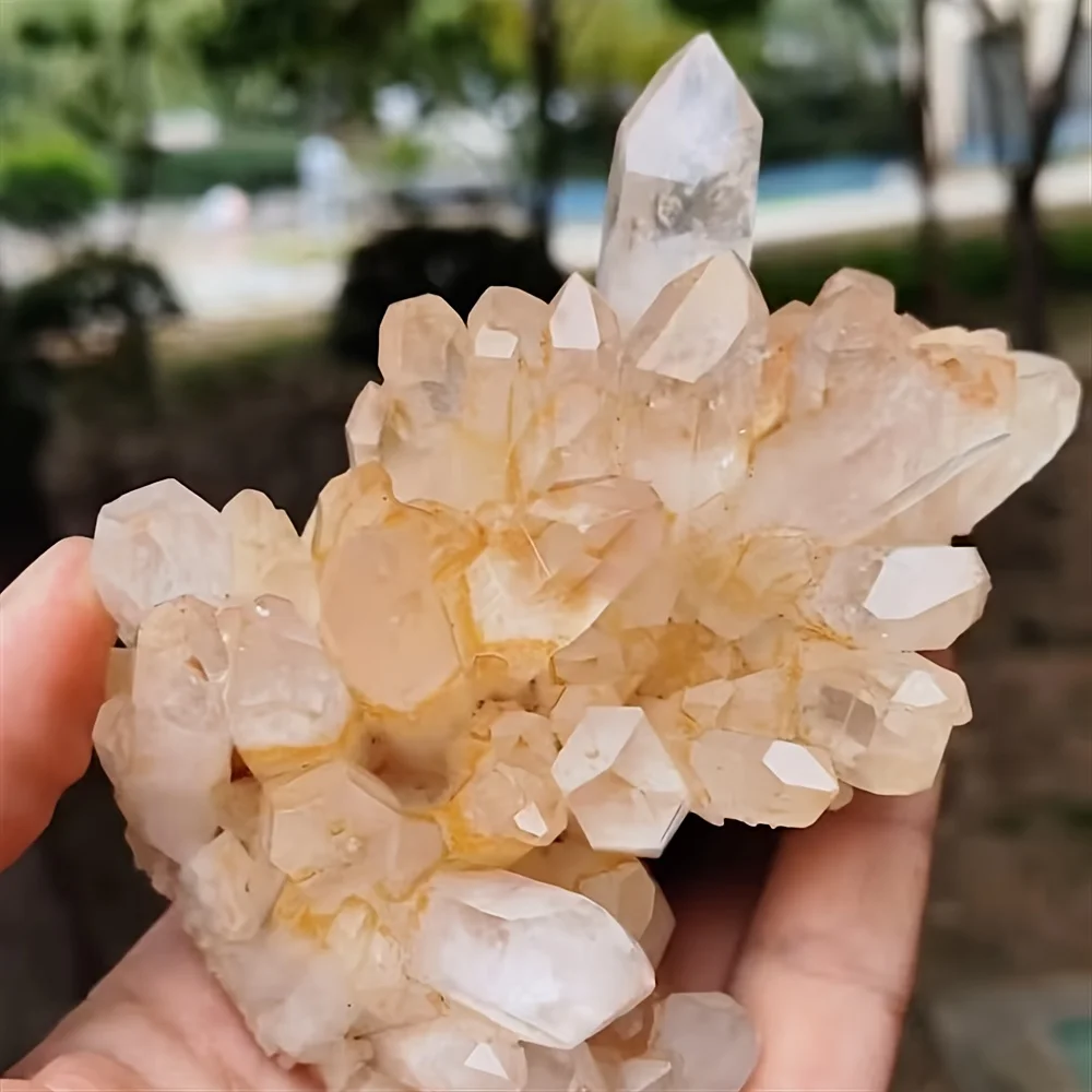 A beautiful transparent quartz ornament—a cluster of white quartz crystals with a yellow base—suitable for office decoration