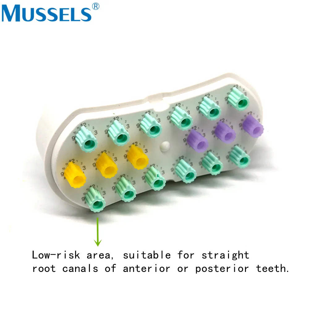 Dental Root Canal File Counting Box Endodontic Files Stopper Holder Sterilization Counters Disinfection Case Dentistry Lab Tool