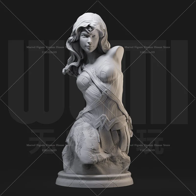 1/16 1/10 Scale Won… - image