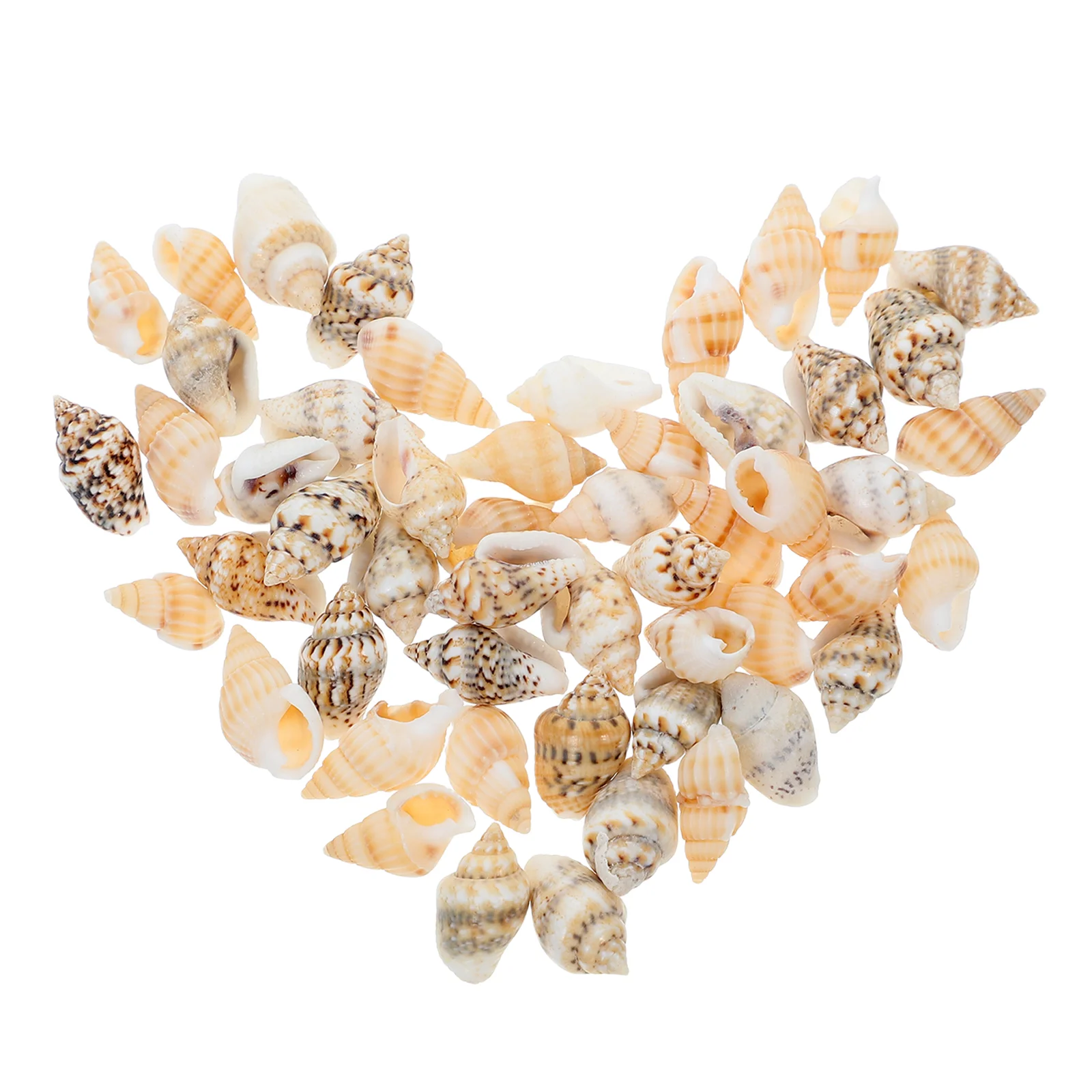 

50 Pcs Simulation Shell Mini Landscape Beach Props Sea Decorations for Bathroom