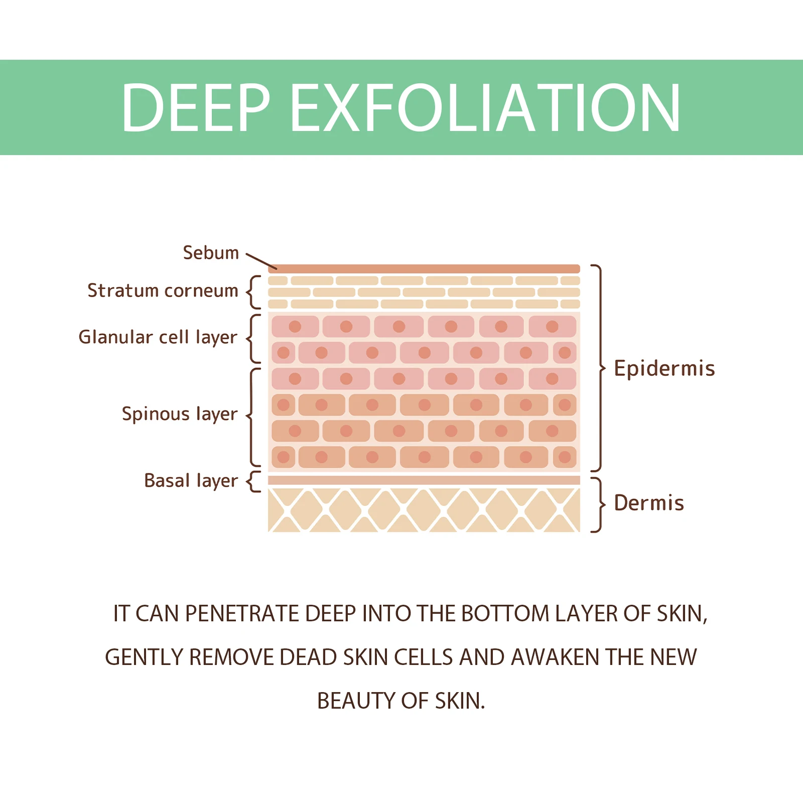 100g Exfoliating Peeling Gel For Face, Facial Scrub Brightening Moisturizing Nourishing Repair Scrubs Face Cream Beauty Care