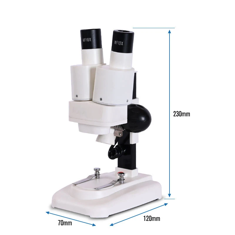 Zoom 20X Microscopio stereo elementare Luce binoculare a LED per telefono PCB Smartphone Riparazione microscopio composto portatile