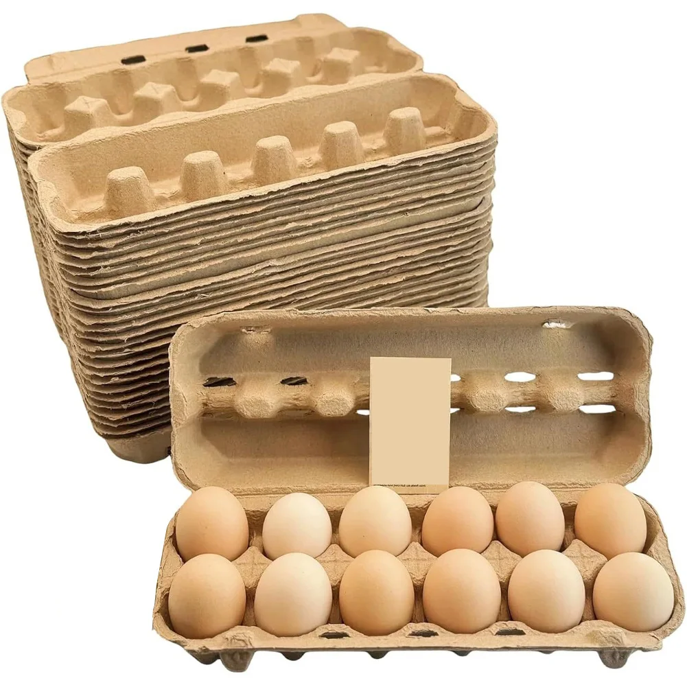 

Natural Biodegradable Paper Pulp Egg Cartons for 12 Eggs with Shockproof Design and Transparent Viewing Window