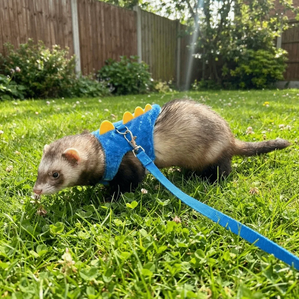 Adjustable Ferret Vest Harness with Bell Escape-Proof Hamster Chest Strap Dinosaur Shape Comfortable Pet Traction Rope