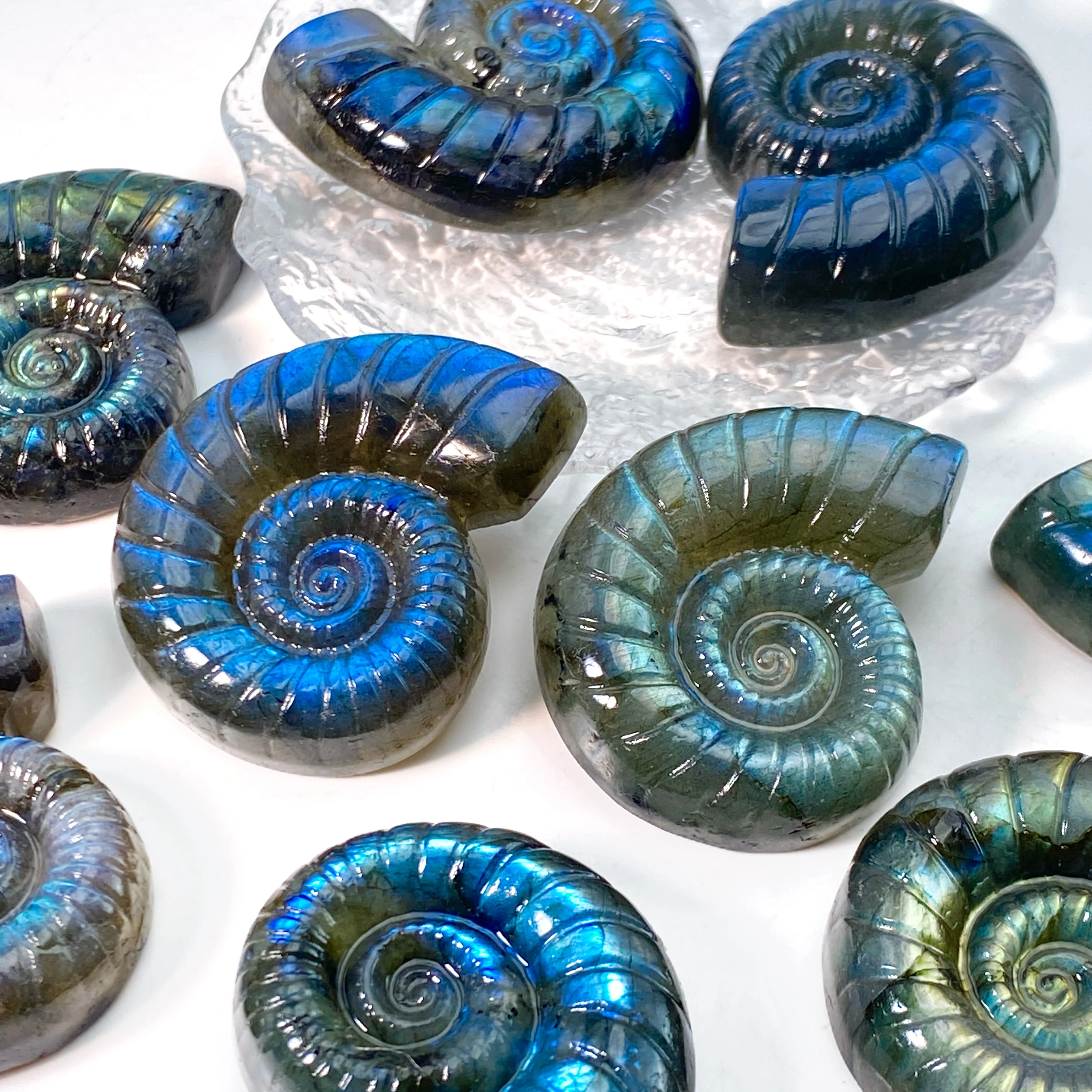 1 قطعة اللابرادوريت الطبيعي الأمونيت نحت رائع سر تحويل مبهرج الريكي كريستال التأمل أحجار استشفاء ديكور المنزل #2