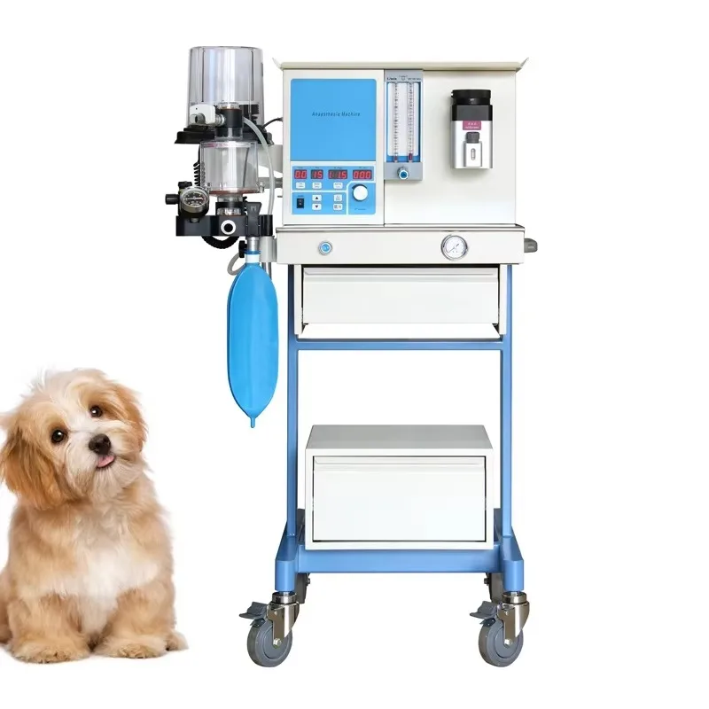 Hospital Laboratory Operating Room Veterinary Anaesthesia Equipment Vet Anesthesia Machine