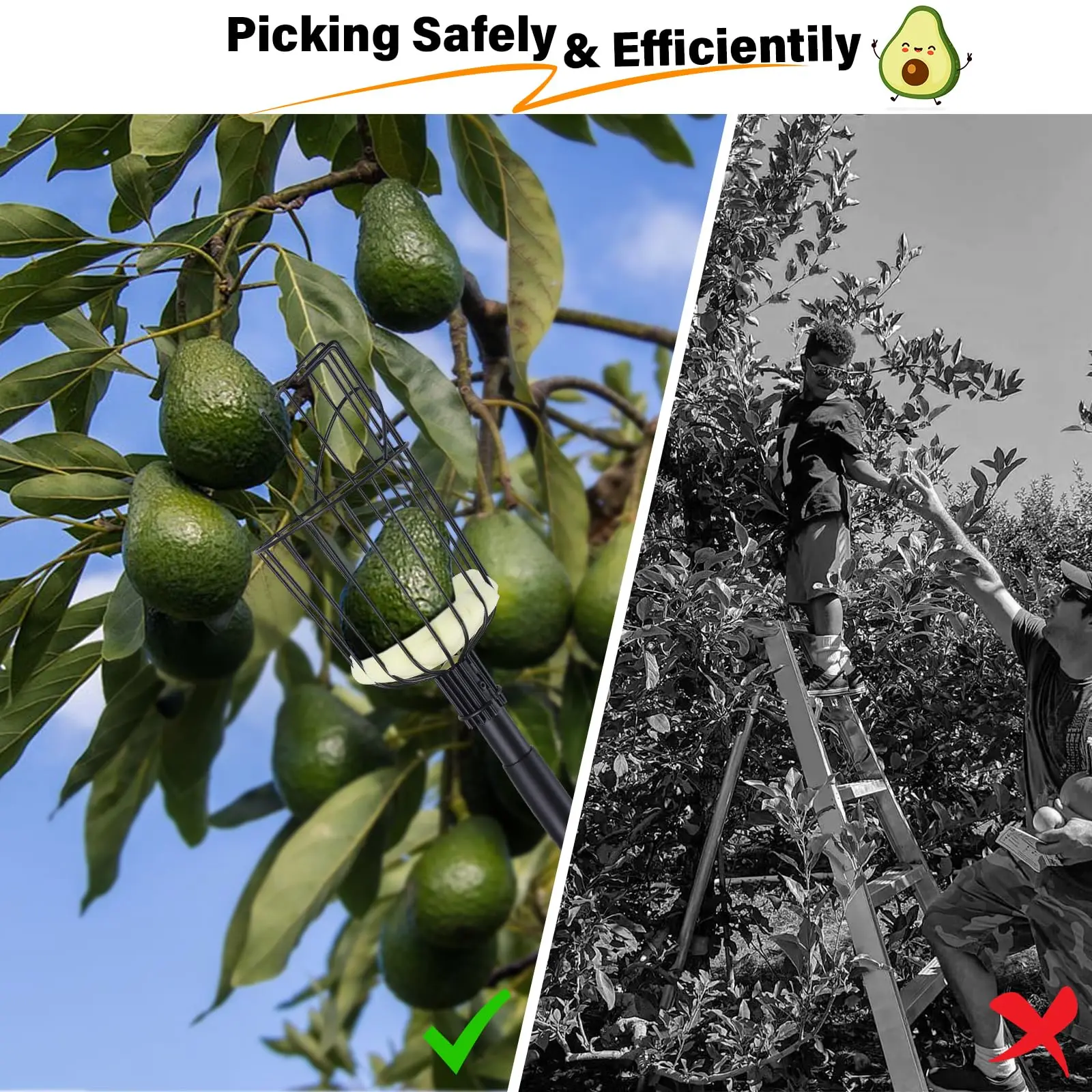 Fruitplukker Verstelbare zwarte fruitplukstok Fruitvanger met lange steel en mand