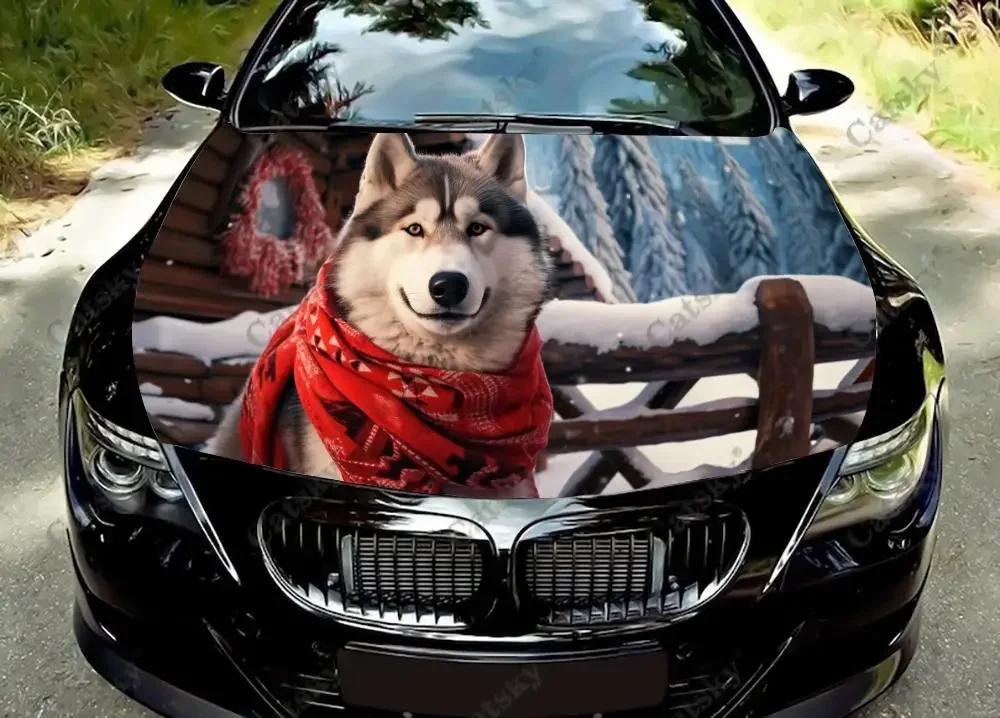 Siberian Husky Dog With Snow Car Hood Decal Truck Decals Vinyl Sticker Graphic Wrap Stickers Trucks Cars Bonnet Vinyls