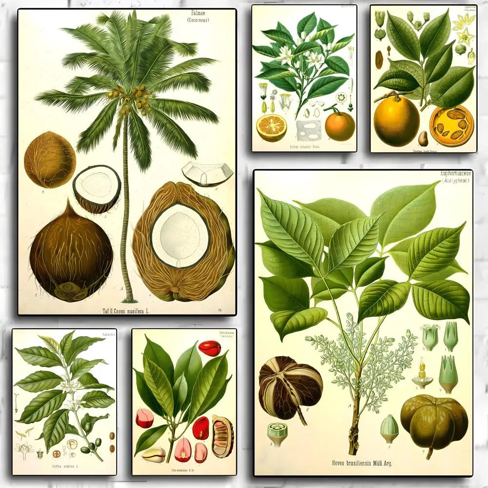 

Plant Fruit Specimens Poster HD Art Mural Waterproof Wall Decor Durable DIY Home Decoration for Living Room Bedroom