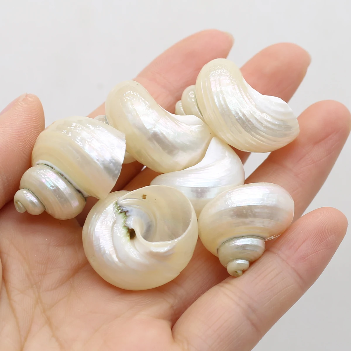 Natural Shell Irregular Silver Conch Bead Pendant Craft DIY Jewelry Making Necklace Earring Accessories Gift Decor 20x25-25x30mm