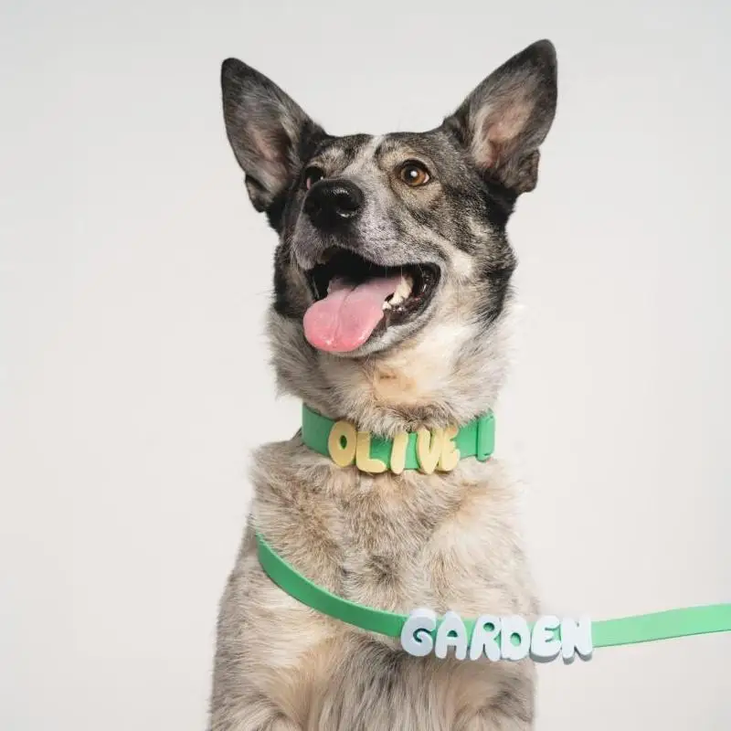 DIY Silicone Letter Charms Custom Dog Name Decor Anti-Fall Waterproof Fit for Thick Thin PVC Pet Collars