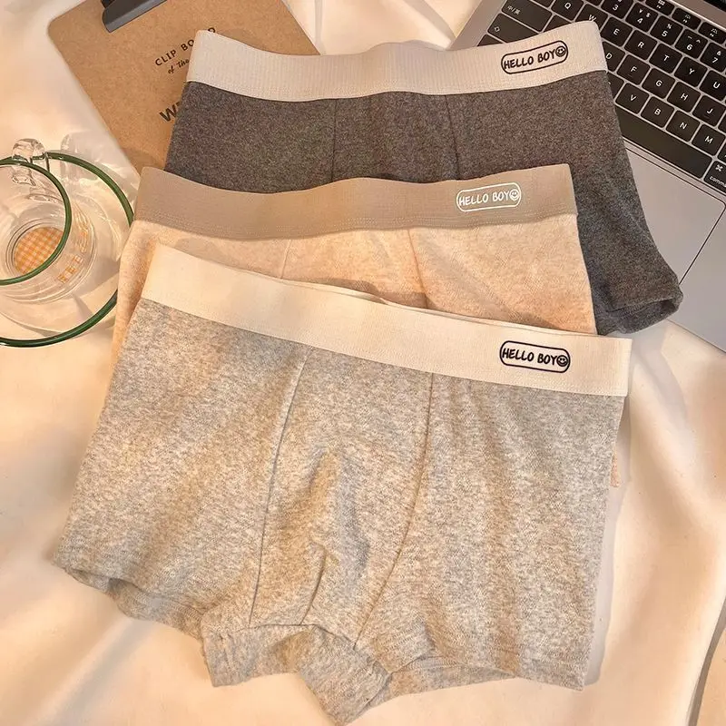 

Hidden Texture Men Underwear Cotton Comfort Panties Breathable Briefs Mid-waist Antibacterial Pants Big Size Boy Boxers Shorts