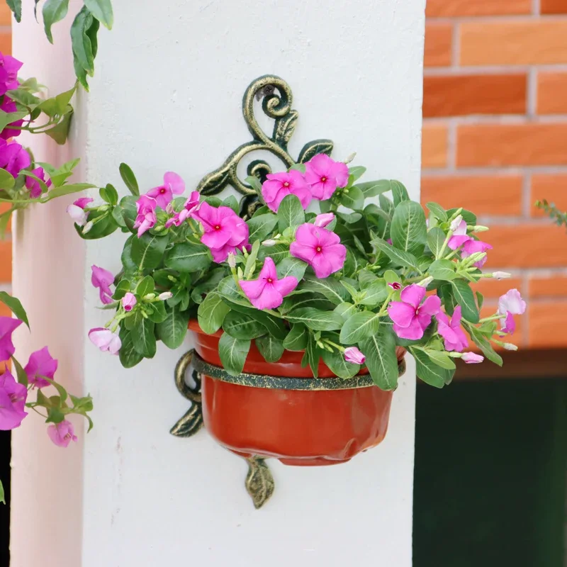 Antique Gold Cast Iron Wall Mounted Planter Rack Morning Glory Design For Home Garden 14cm Diameter Flower Pot Hanging Holder