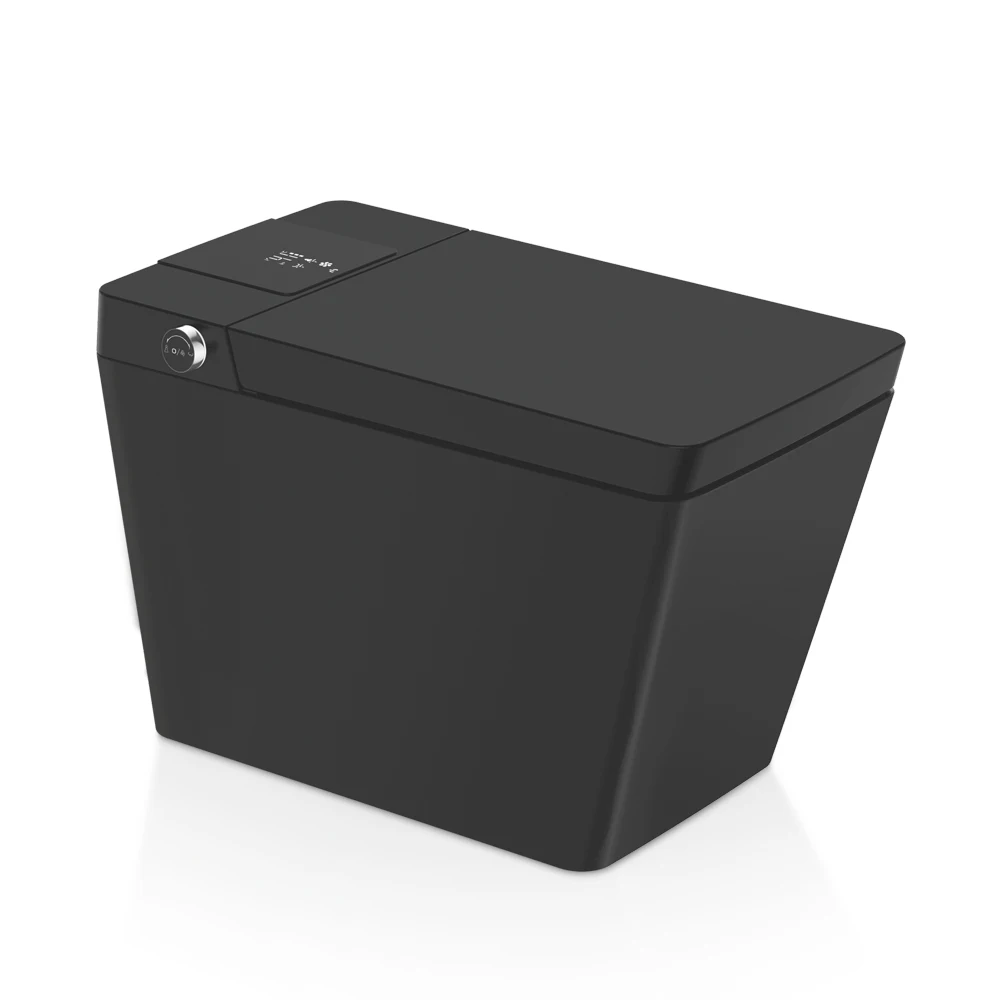 

Commode Automatic Operation Concealed Tank Bidet Instant Heating Toilet