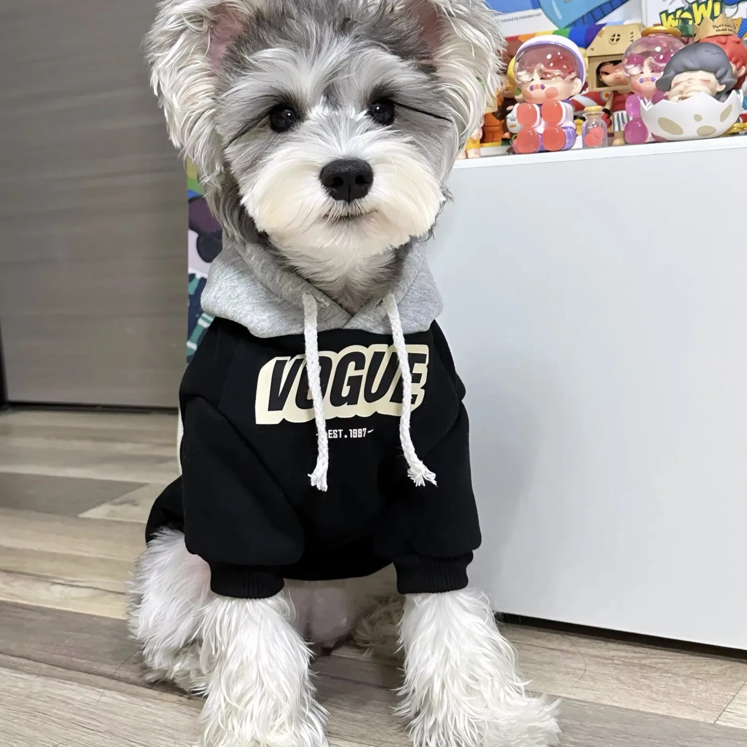 Spring and Autumn Pet Dog Sports Shirt Thin Medium and Small Dog Hoodie Color Block Hoodie Chihuahua French Bulldog Jacket 아지겨울옷