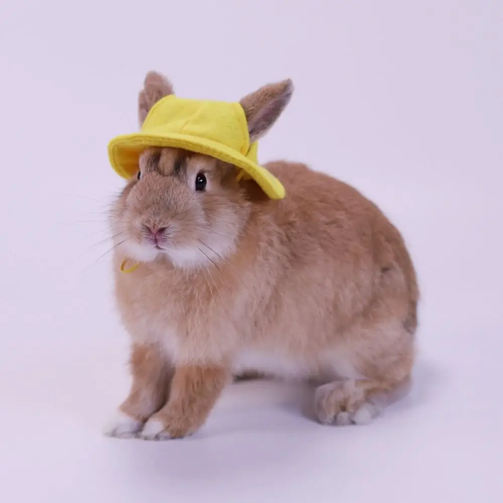 

Felt Small Animals Bucket Cap Pet Clothing Accessories With Ear Holes Hamster Fisherman Hat Lightweight Breathable