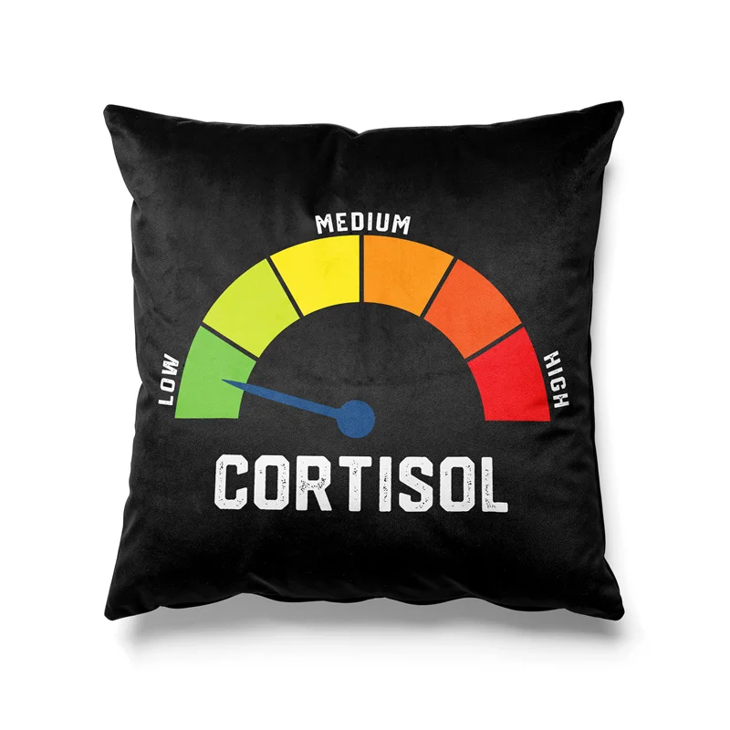 Aertemisi Low Cortisol Levels Pillow Cover Cushion Case Soft Throw Pillow Case for Better Sleep Quality