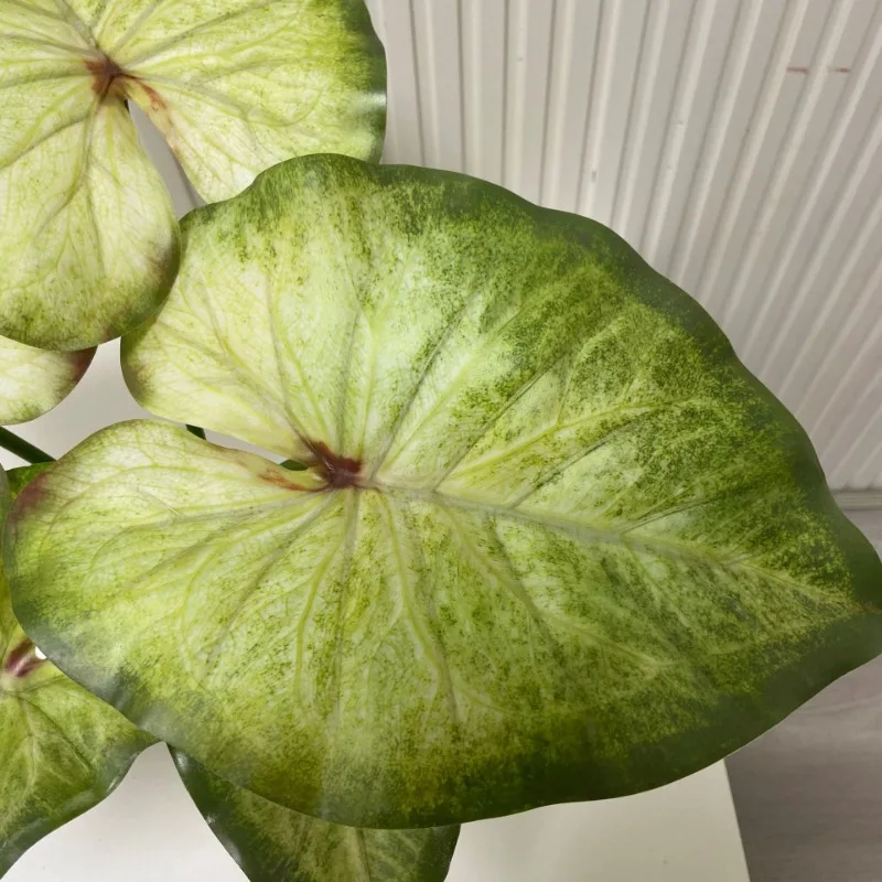 Große Lotusblätter mit Wurzeln, Pflanze, künstlich, grün, für Zuhause, Landschaft, Garten, Simulation, Pflanzen, Hochzeit, Party, Tischdekoration – Detail 4