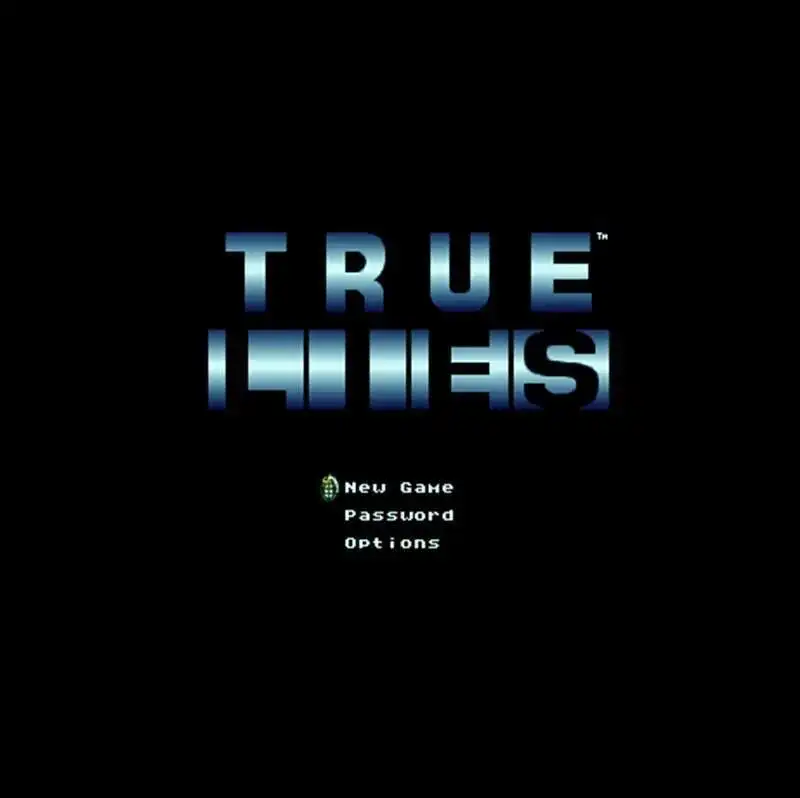 

True Lies NTSC 16 Bit Big Gray Game Card For 46Pin USA Game Players