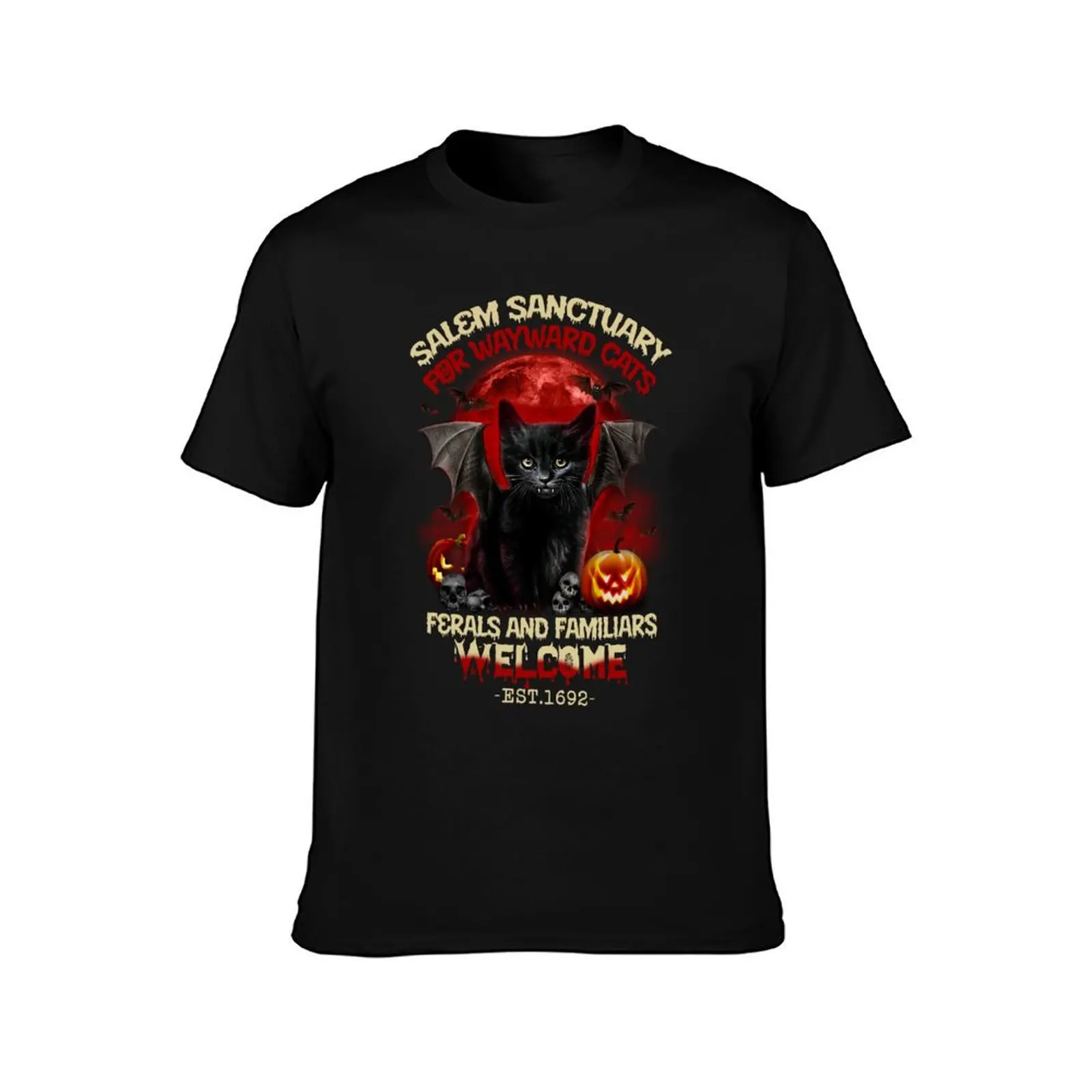 Salem Sanctuary For Wayward Cat's Ferals And Familiars Welcome Black Cat Halloween T-Shirt Basic Breathable Solid Color T-Shirt