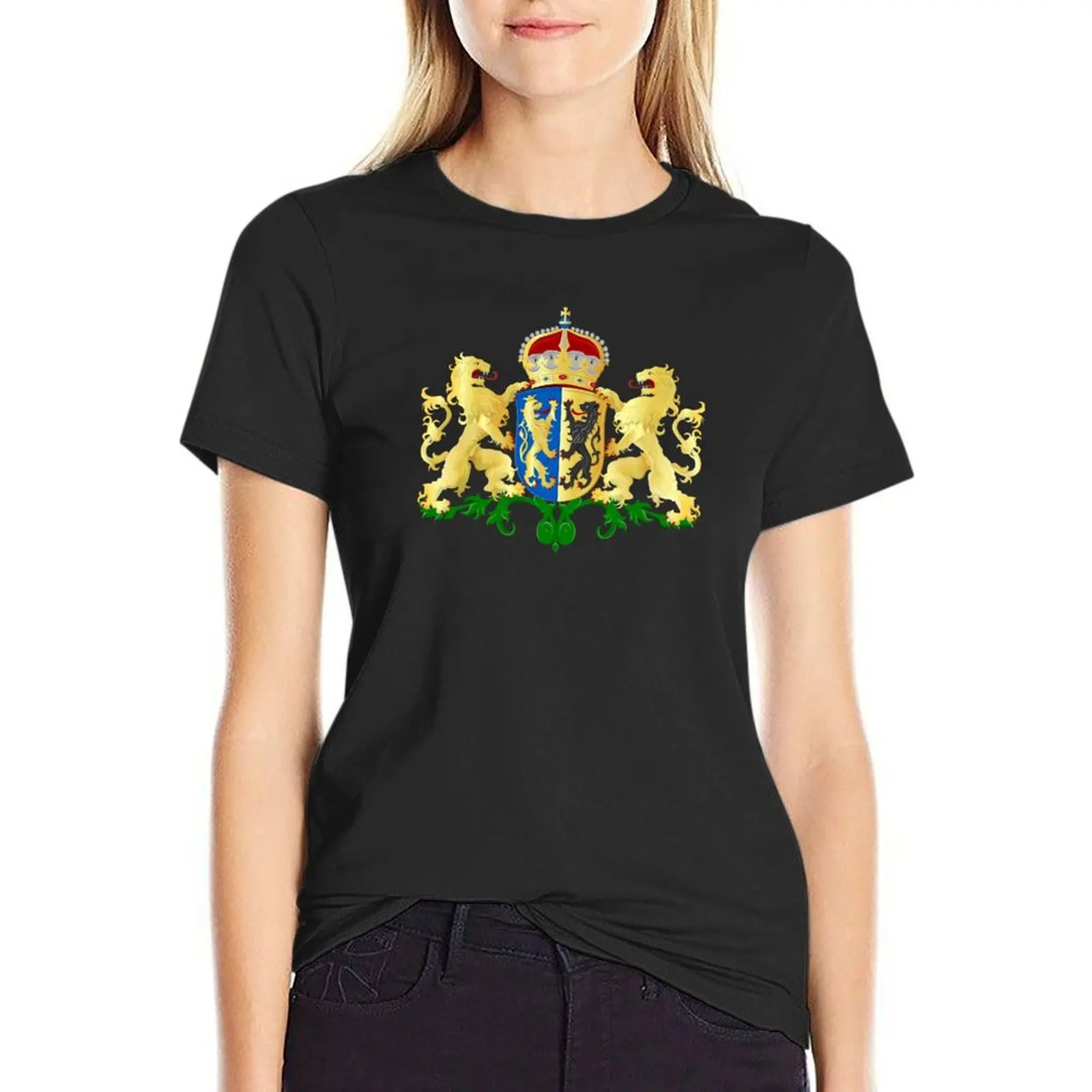 Gelderland coat of arms, Netherlands T-Shirt blanks kawaii clothes aesthetic clothes fashion woman blouse 2024