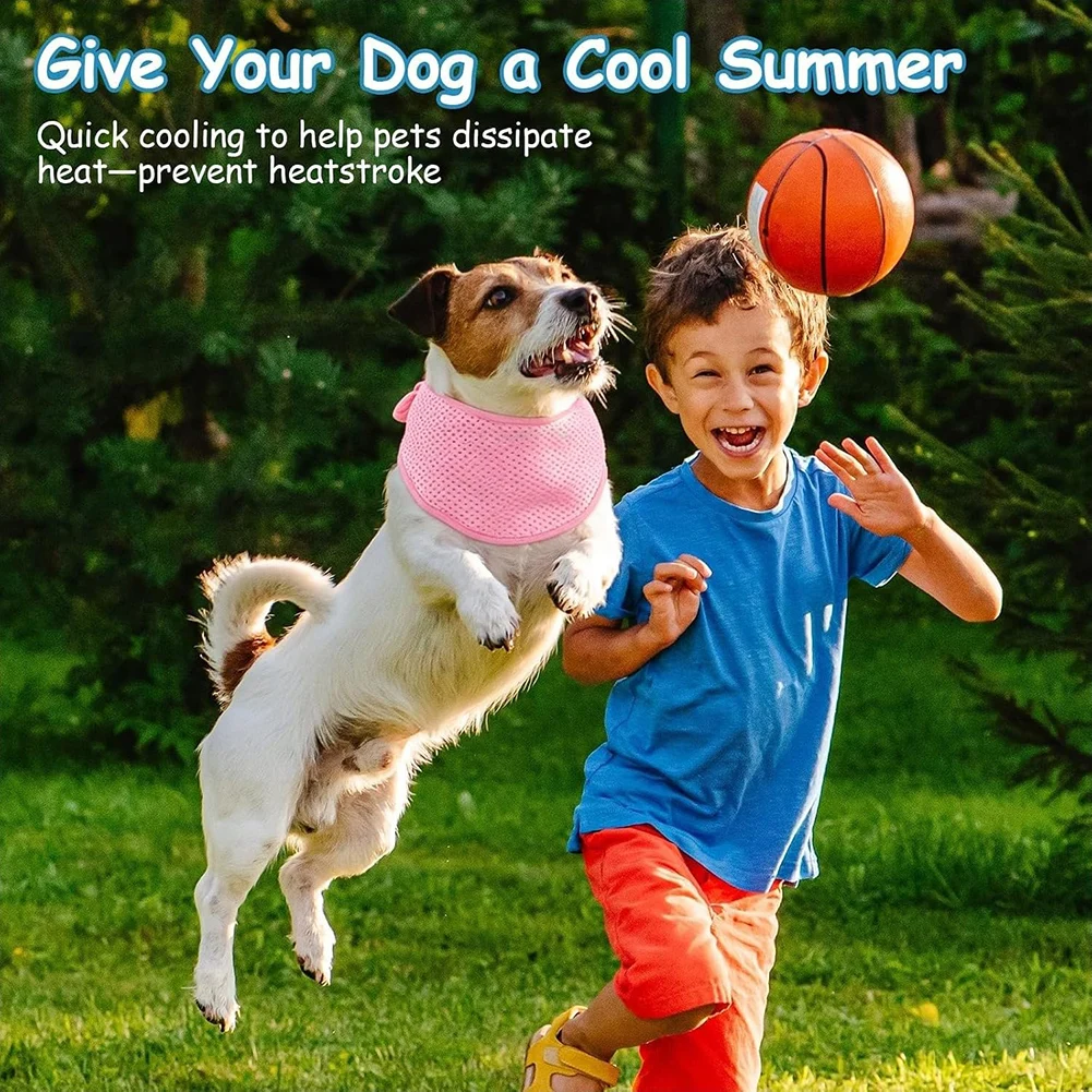 Thumbnail 3 - #34 Best Dog Bandanas to Buy In 2026