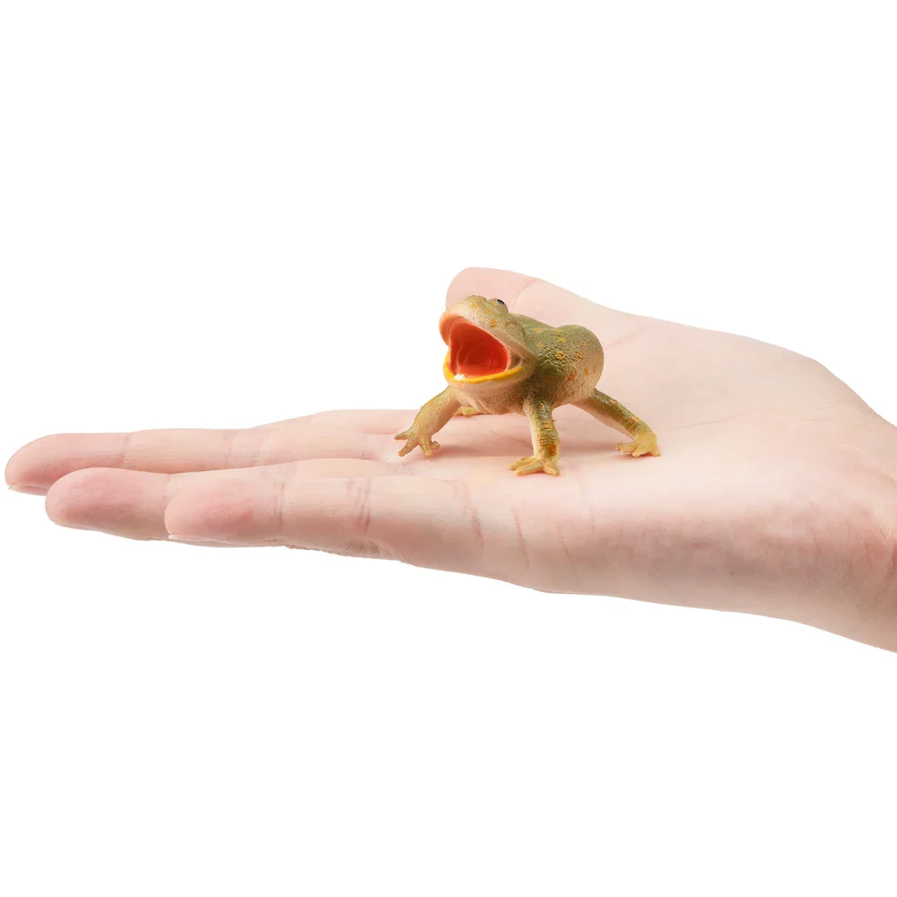 Toymany Simulation Budgett's Frog Reptile Realm Animal Model Toy Mini Figures Dolls Action Figurines Toys Children Gift