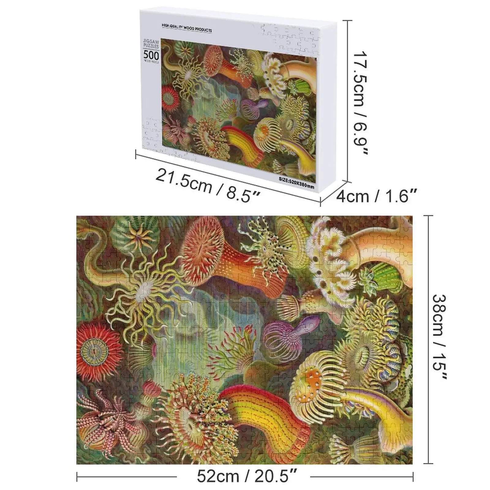 Anêmona do mar - Ernst Haeckel Quebra-cabeça de madeira para adultos Iq Crianças Quebra-cabeça de animais de madeira