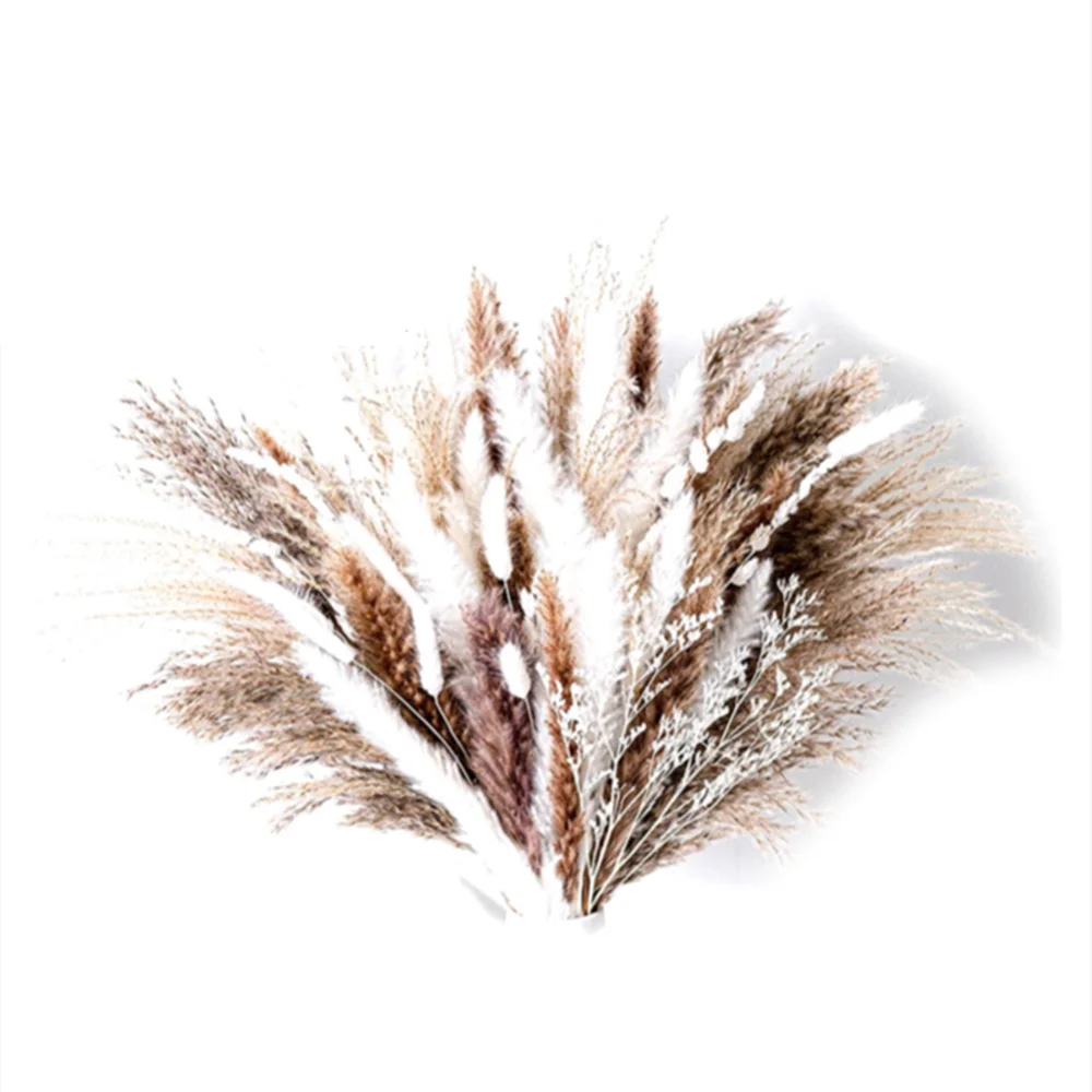 

100PCS Natural Dried Phragmites Pampas Grass Bouquet Home Easter Decor Accessories Flowers For Boho Wedding Decoration