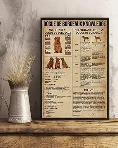 Vintage Tin Metal tin Sign Sign Dogue De Bordeaux Knowledge Dog Retro Wall Art Decor Iron Painting for Home Kitchen Cafe Pub Sig