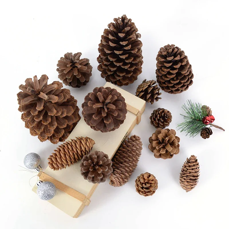 2-18cm Natural Pine Cone Fruit Dried Artificial Flower Shoot Prop DIY Wreath Garland Scrapbook Craft Wedding Christmas Ornament