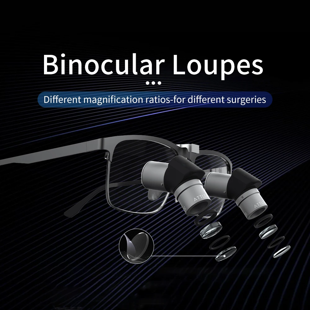 Dental Loupes Ergo Customized Head Magnifier Glass Dental Lab Medical Loupes Magnification Binocular 4x 6x