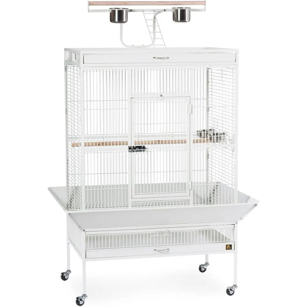 

Chalk White 36x24x66-Inch Wrought Iron Bird Cage 3154C