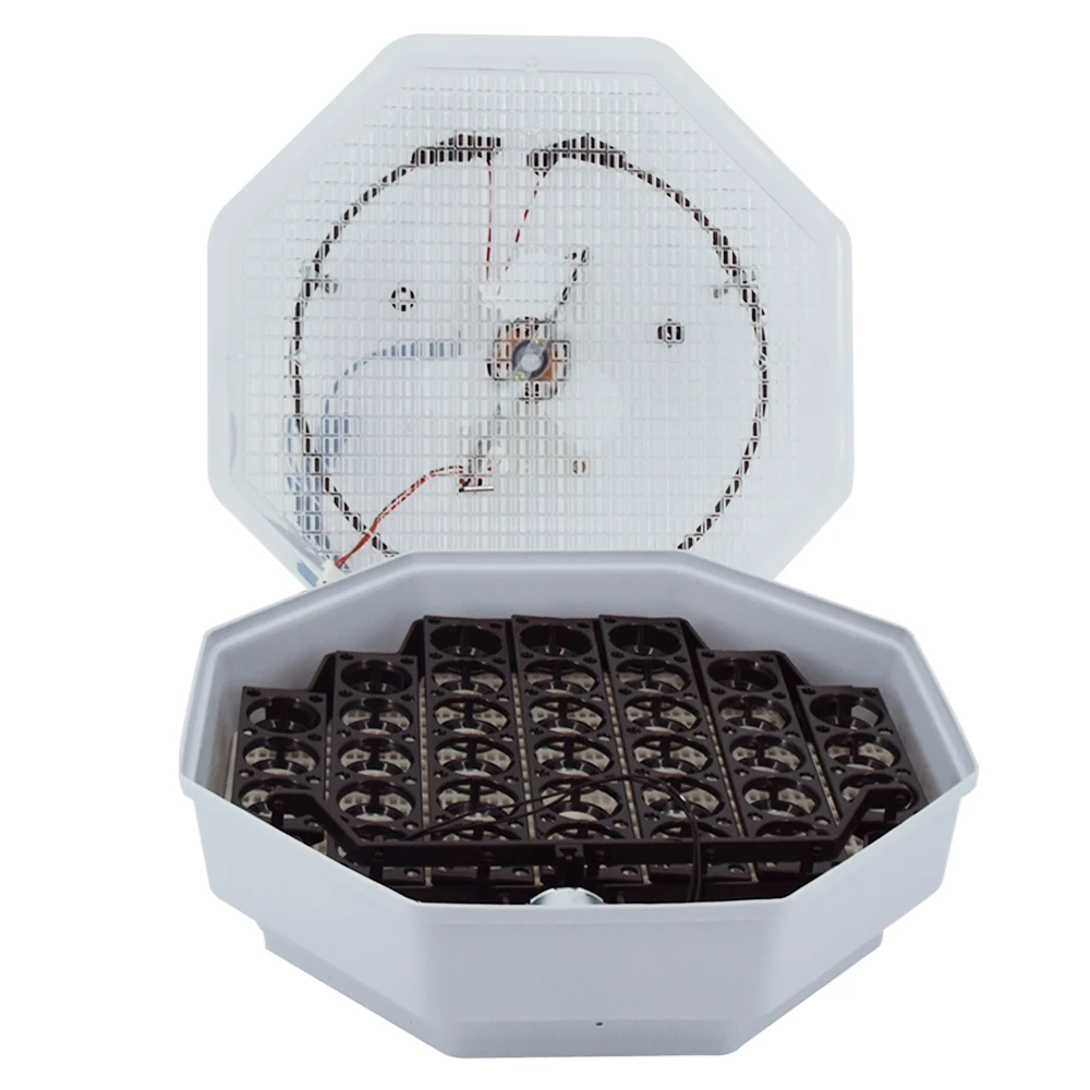 best pet keeping parrot egg incubator