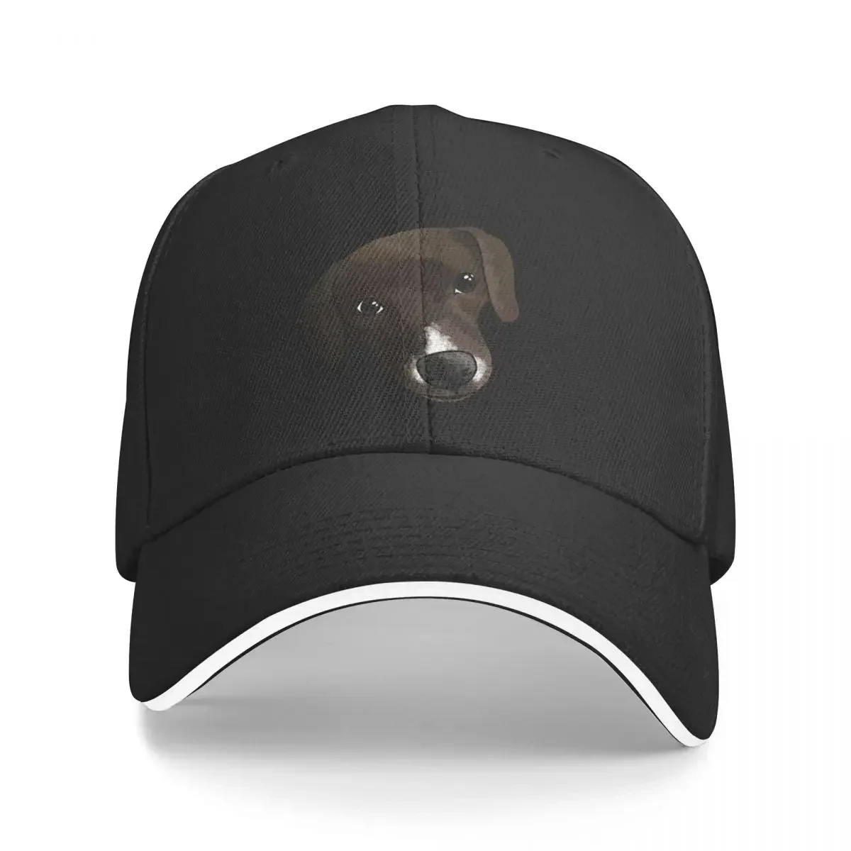 Pretty Lab Baseball Cap dad hat Brand Man cap Designer Hat Golf Mens Caps Women's