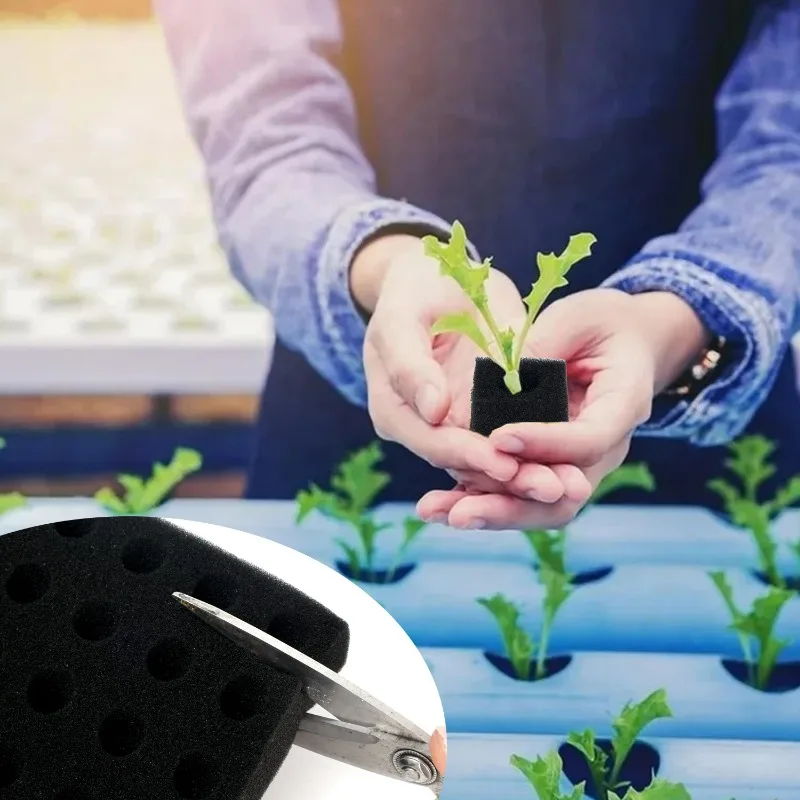 500/100 قطعة المربعات الإسفنج للزراعة المائية المائية الإسفنج أداة زرع المنزلية الدفيئة المائية الإسفنج مربع الإسفنج #5