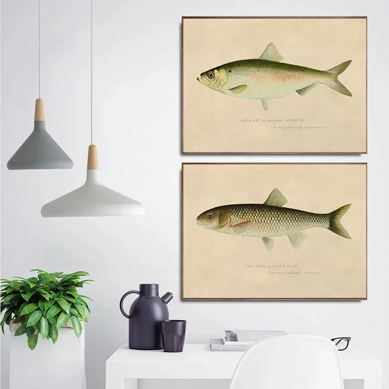 Retro Biology Fish Atlas Poster Trout/Sheepshead/Butterfish/Silver Chub Fish Canvas Painting Wall Art Picture Bedroom Home Decor