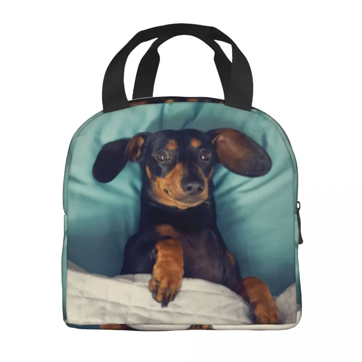 Dachshund Thermal Insulated Lunch Bag Women Badger Sausage the Wiener Dog Lunch Tote for Outdoor Camping Travel Storage Food Box